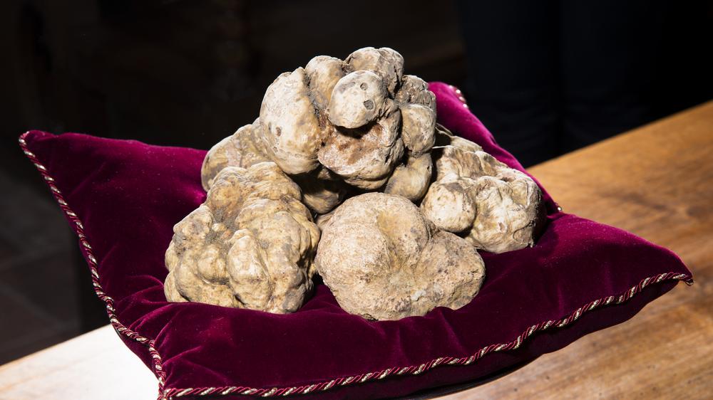 5 Most Expensive Truffles In The World My Cricket Deal   Truffle 