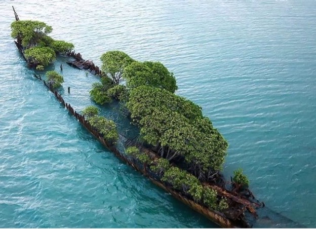 Shipwreck Remains