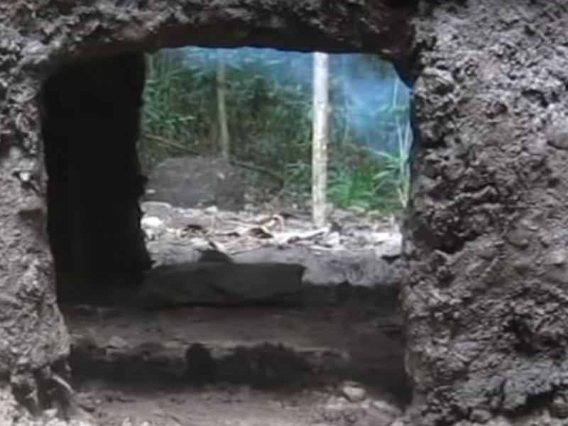 Man Builds An Impressive Shelter In The Wilderness With Nothing But His Bare Hands Past Chronicles 