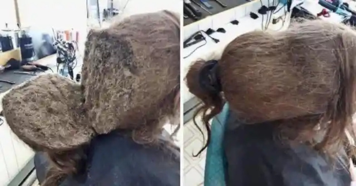 Hairdresser Combing A Clients Hair Gets The Surprise Of A Lifetime